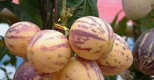 减脂|爱美女性要经常吃几种食物，清热排毒，降压减脂，好处多多！