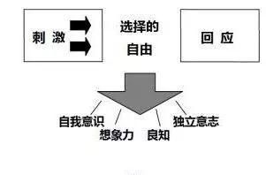  柯维|史蒂芬·柯维：具有良好品德的孩子，才能取得真正的成功