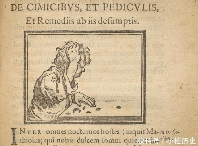 洗澡|中世纪的欧洲到底有多可怕?贵族都几个月不洗澡,国王长满寄生虫