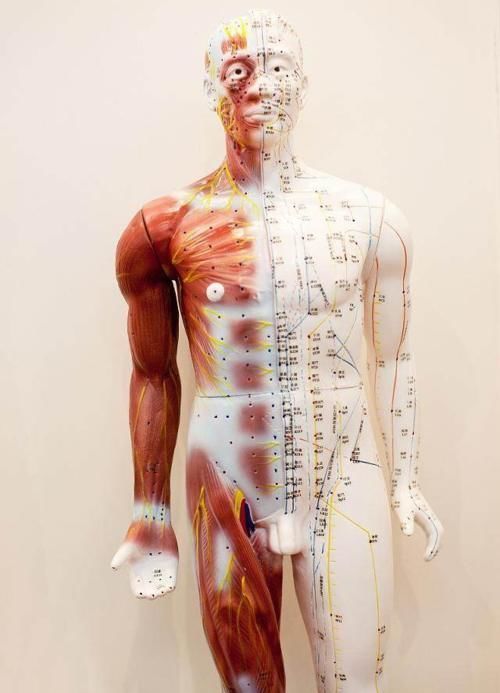 人体这五个穴位,不但养生关键时还有大用途,儿科健脾益胃