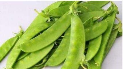 女性不想满脸皱纹，可以多吃3种食物，紧致肌肤，增加皮肤弹性！