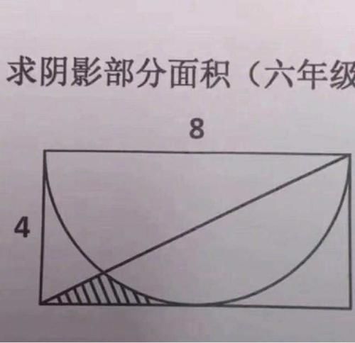 这5道小学数学题，难倒一片大学生，网友：感觉读了一个假小学？