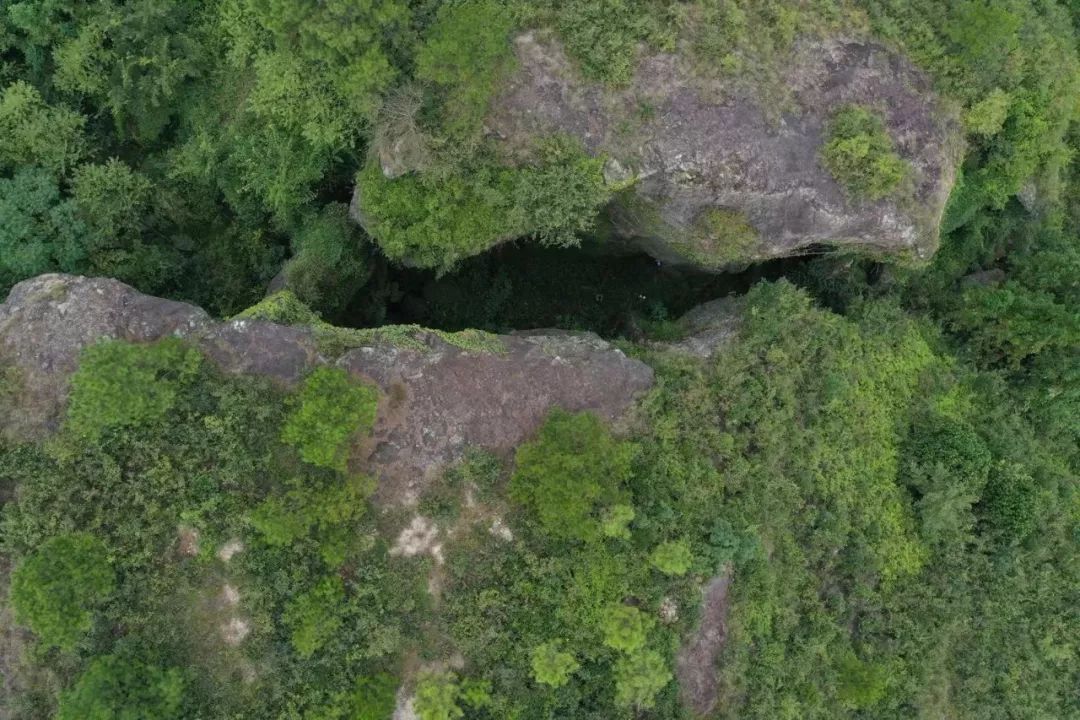 鲤鱼化龙|奇! 天台东乡的马头岩上有神仙!