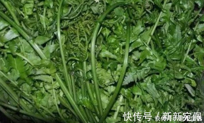 香蕉|女性不想老太快，推荐三种食物，常吃减肥瘦身，还能延缓衰老