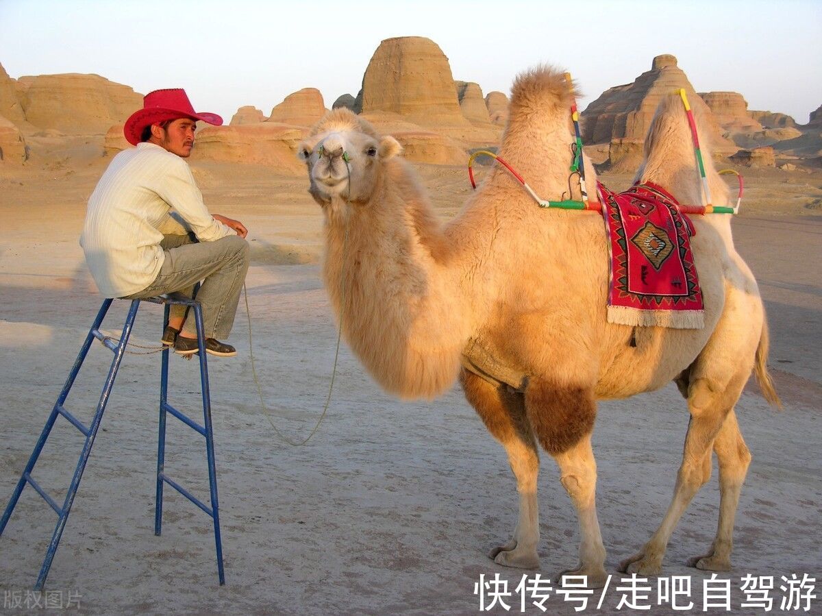 卧虎藏龙|它被称为新疆“横店”，是“中国最值得外国人去的地方”