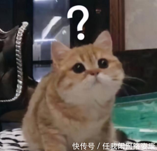 记者团 它发了一条微博,网友彻底沸腾了