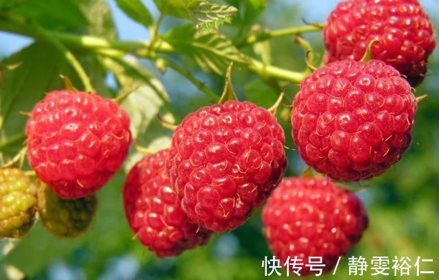 補血|人到中年要會吃，多吃3種食物，滋肝明目，補血益氣，營養又健康