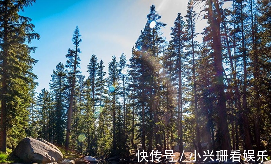 美国|美国是发达国家，他们为何不用混泥土建房子，是因为人工吗？
