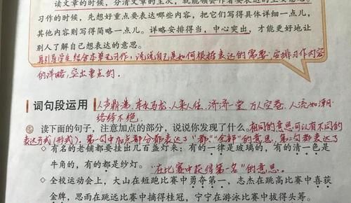 打好语文基础，很多人开始就错了，看资深教师透露几点实用方法