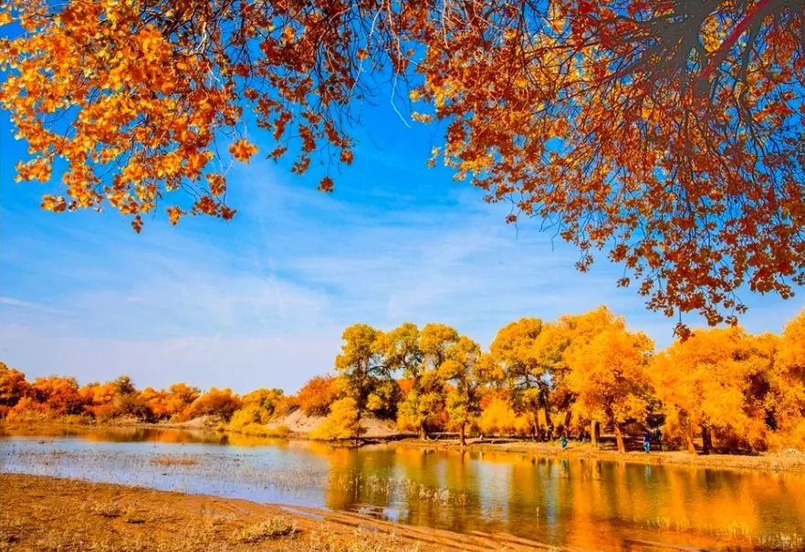 蒲桃酒|莫寒律诗21首:闲得此身无管领,半居梦里半人间