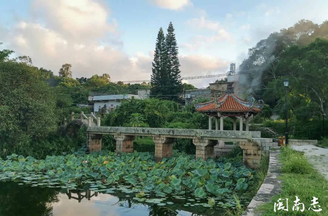 集锦|闽南志每日一图 12.07~12.13集锦