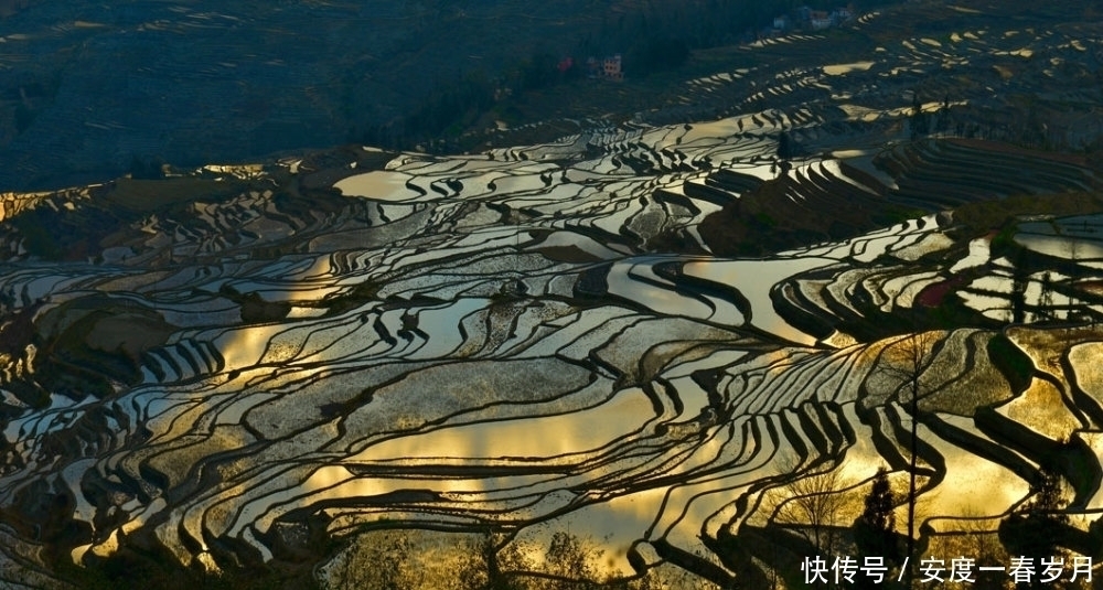 通往天堂的阶梯，红河哈尼梯田，简直美的和画一样！