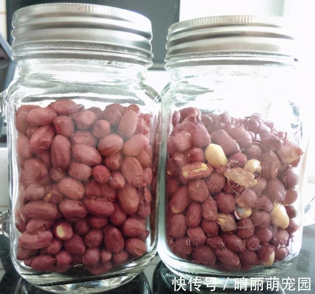 酥脆|花生米不用炒，用盐水泡一泡，比炒得好吃，鲜香酥脆，越吃越过瘾