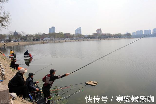 鱼类|野河钓鲫鱼,满足2个原则的钓位有7个,不用担心钓不到鱼