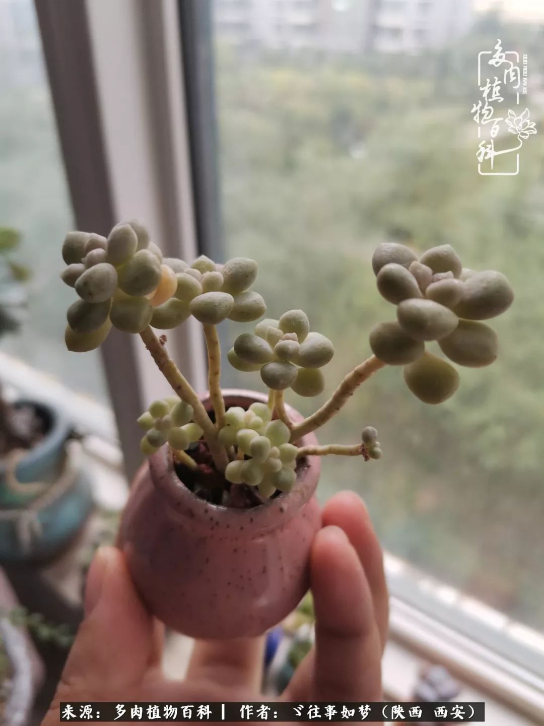 愿你付出甘之如饴，愿你所得归于欢喜！