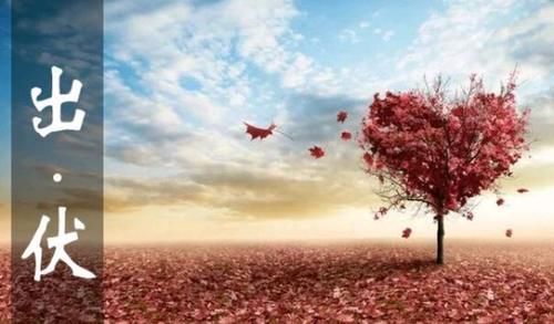 一冷一热|准备出伏了!出伏碰上换季,为了健康,这5件事要尽力做到位