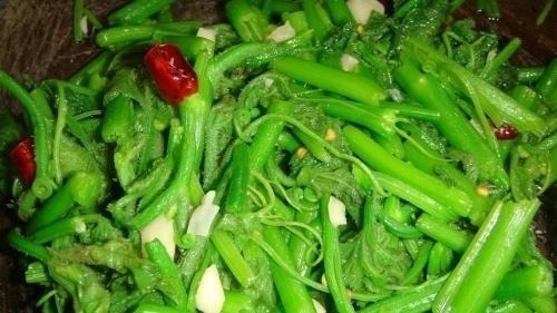 碰到这菜我从不手软,1次买3把,识货的人都抢着买,调经又养血