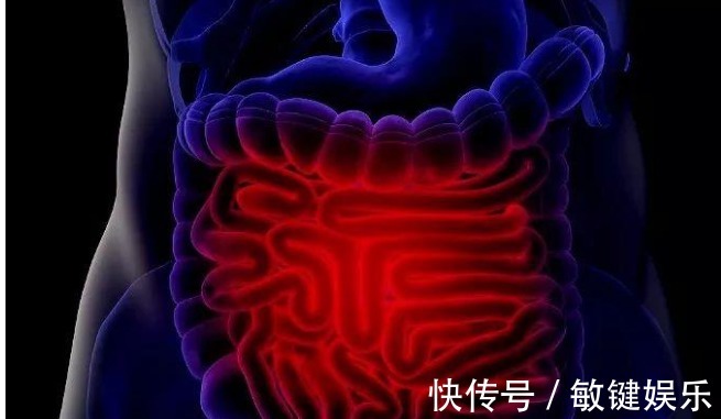 蒲公英水|高二女生,因一壶蒲公英水,被送入医院,蒲公英泡水,有4大禁忌