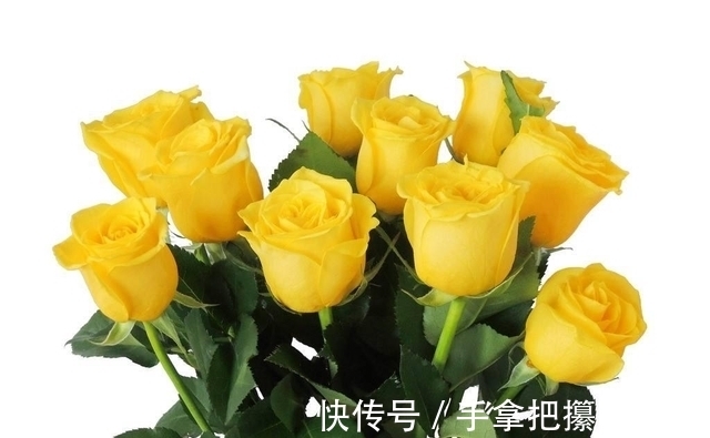 贵人|7月26开始,4生肖前有贵人,后有靠山,好日子躲不掉