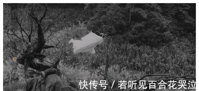 幼薇!《雪中悍刀行》原著:同样是刺杀,徐凤年为何放过鱼幼薇和姜泥?