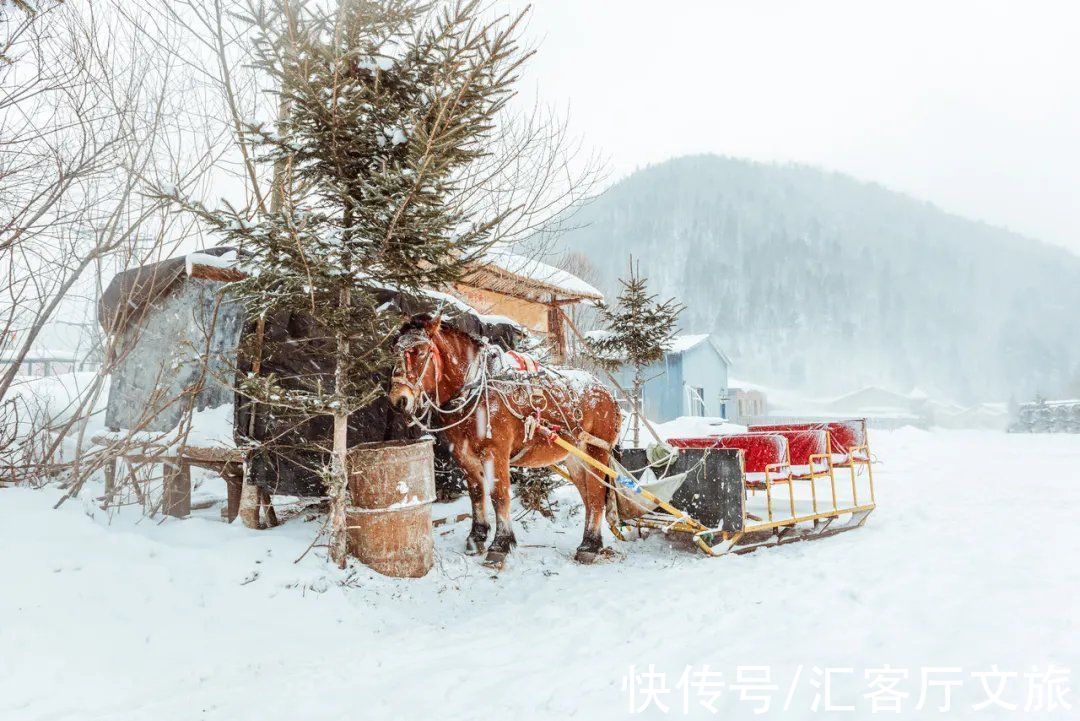 导游|4年前，那个因为“宰客”被骂上热搜的雪乡，后来怎么样了？