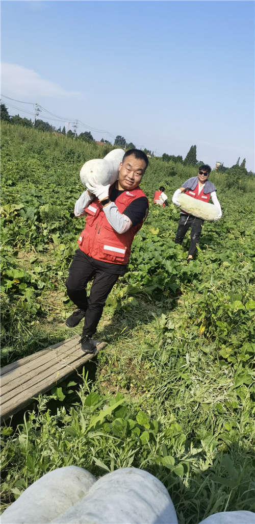 武汉|驰援河南 武汉东西湖人在行动