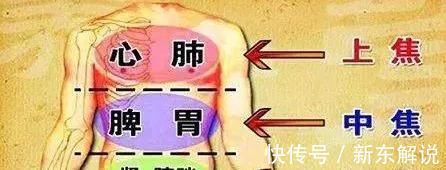 难经|搞懂了人体的“三焦”,所有疑难杂症,都可迎刃而解,建议收藏!
