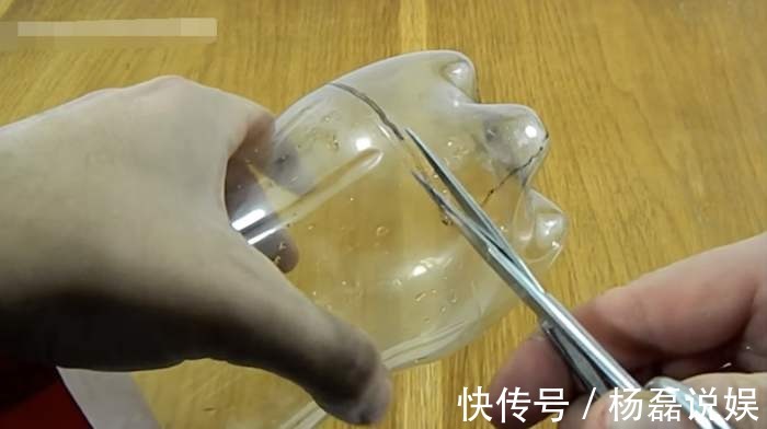 塑料瓶剪一半埋盆里,烂果皮菜叶随便扔,零臭味还不烧根!