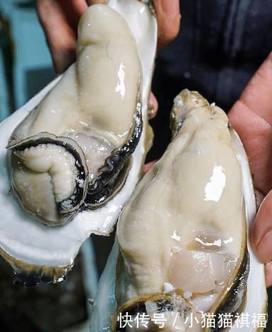 原来牡蛎、生蚝的区别这么大，还有很多人不知道，老渔民告诉你