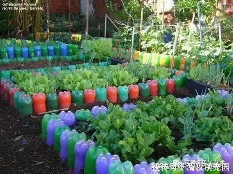 下次再有饮料瓶千万不要丢,看完这个你就明白了,附教程