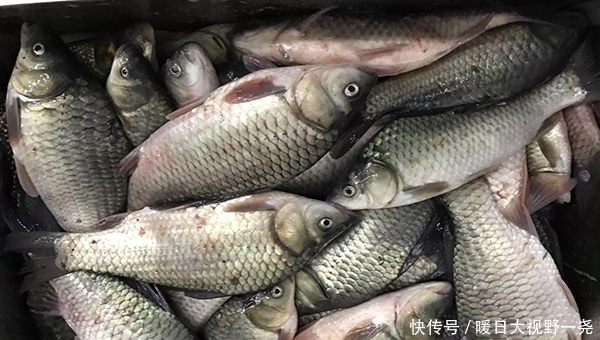 杂货铺|会钓鱼的一根杆,不会钓鱼的人杂货铺!