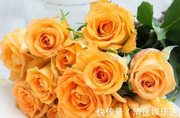 金闪闪|喜欢玫瑰,优选“高档玫瑰”假日公主,金闪闪,寓意快乐美好