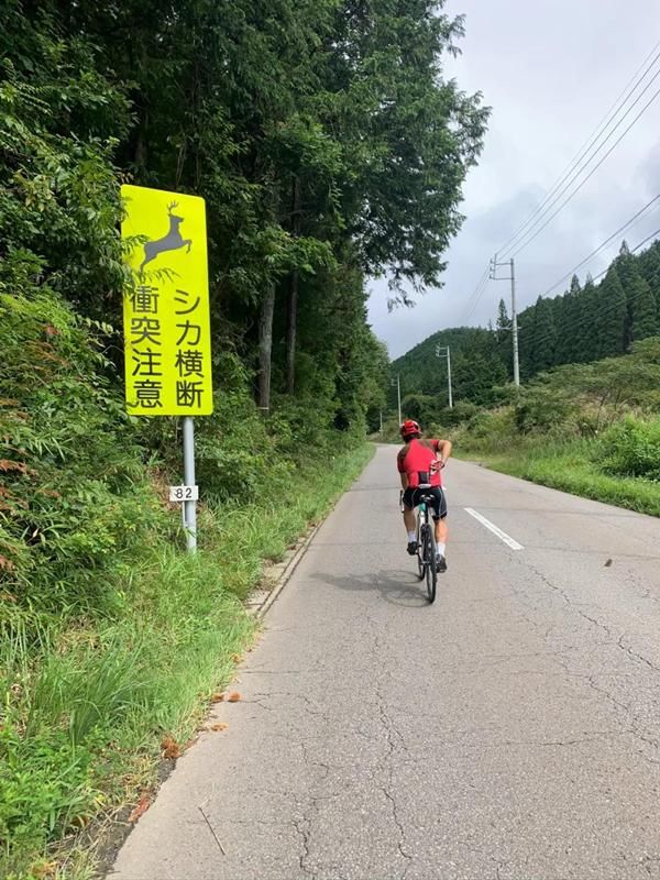 青春|郡上八幡-深入岐阜：暴雨如注的青春