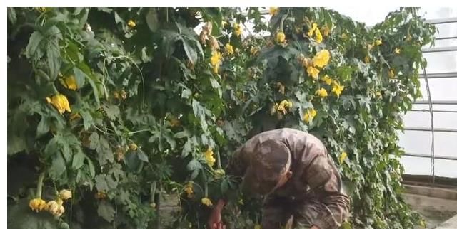 年代|高原西线什布奇边防连，离新德里近，和平年代5位战士留下生命