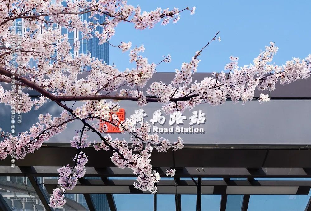 户型|“无倒挂”板块，你选新房还是二手次新房？