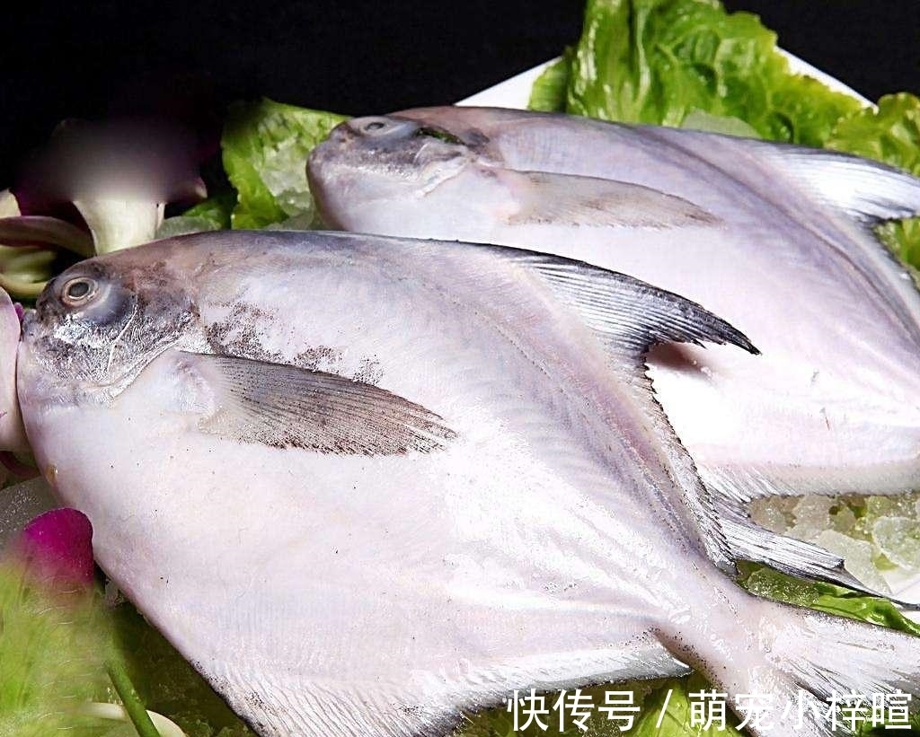 去市场买鱼,这5种鱼放心买,纯野生的,人工没法养,便宜还美味
