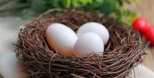 差别|鸡蛋、鸭蛋、鹅蛋、鹌鹑蛋……营养差别大,不知道亏大了