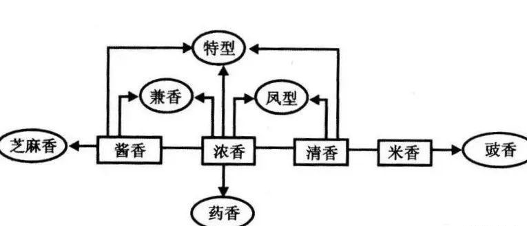  祖代表酒|白酒究竟什么味道喝过十二大香型的“酒中泰斗”，等你亲自解锁