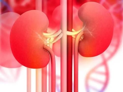 疫苗|高血压疫苗即将上市，打一针就不用吃降压药了吗？医生来告诉你