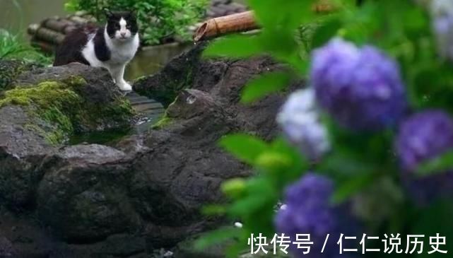 美好的时光!教人知道已春深,十首春深的诗词,去珍惜春天的每一寸时光!