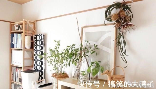 太太|日本退休夫妇的蜗居生活,房子虽小却布置得温馨精致,惹人喜爱!