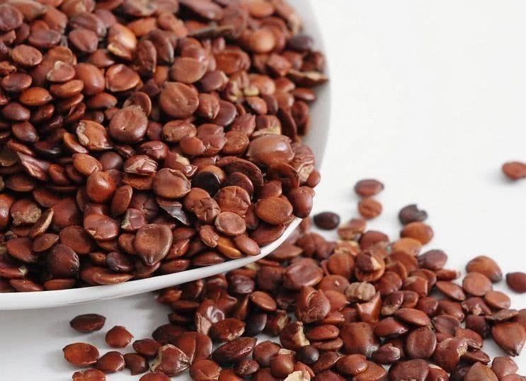 酸枣仁|失眠不用慌, 这几种食物睡前吃一点, 安神助眠, 比安眠药还管用!