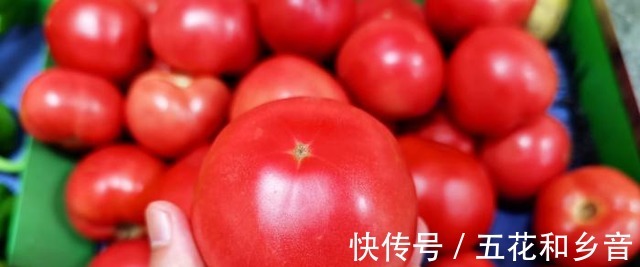 买西红柿要挑母的，老菜农教我一招看顶部一眼能辨别，真实用！