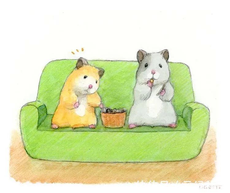 小仓鼠&他的插画主角是一只仓鼠,可爱的举动,萌到心都化了