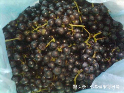 祛风|立秋后,晚上当零食吃一把,清热解毒,祛风除湿,常食更显年轻