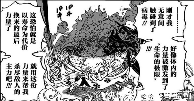 赤鞘九侠|海贼王1007话:乔巴怒揍奎因,神秘人并非艾尼路,也非阿金