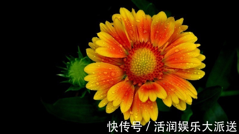 适应能力|十二生肖中,3生肖8月之前财神助运,金银爆满仓,大财统统入账!