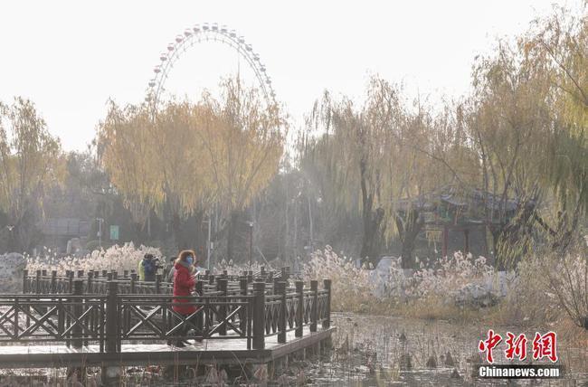 西湖公园|北京龙潭西湖公园恢复开园