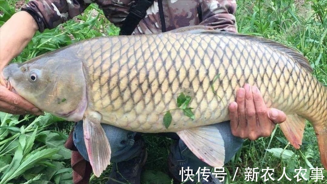 钓了3条鱼要求赔偿五万元,江西3名男子摊上事了,双方都应该反思