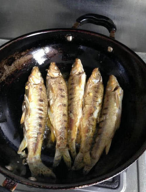 广东清远钓鱼人，水库大坝下钓起许多“老鼠鱼”来，这是什么鱼？